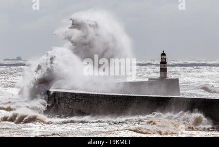 Può la tempesta, big wave, Seaham, Durham Foto Stock