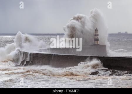 Può la tempesta, big wave, Seaham, Durham Foto Stock