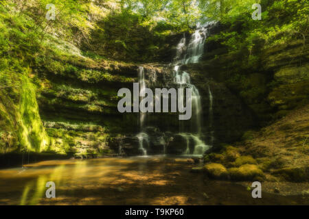 Forza Scaleber cascata nel Yorkshire Dales vicino al mercato cittadino di Settle Foto Stock