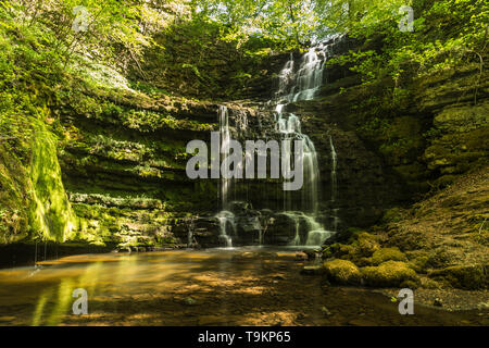 Forza Scaleber cascata nel Yorkshire Dales vicino al mercato cittadino di Settle Foto Stock