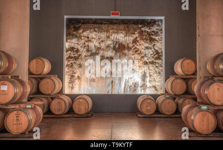 Cantina con acqua che scorre dalle rocce a Fonterutoli Castellina in Chianti, Toscana, Italia Foto Stock