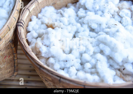 White Silkworm Cocoon nel cestello Foto Stock