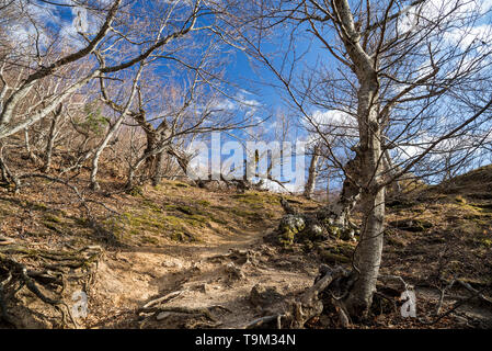 Demerdji, Repubblica di Crimea - Aprile 1, 2019: Valle dei fantasmi in mountain range Demerdzhi nei pressi di Alushta sulla penisola di Crimea Foto Stock