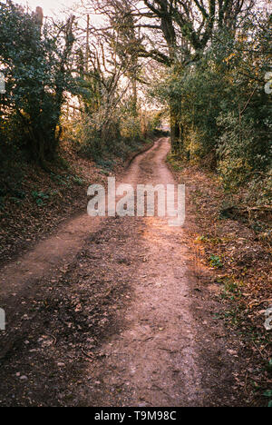 Knapp lane, Medstead, Alton, Hampshire, Inghilterra, Regno Unito. Foto Stock