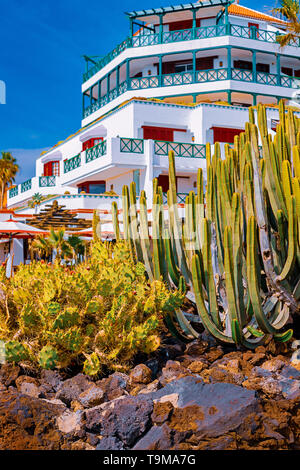 Vista di diversi tipi di cactus sulla costa di Playa de las Americas, Tenerife, Isole Canarie, Spagna. Aprile 29, 2019. Foto Stock