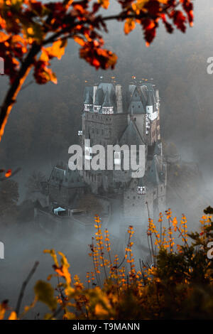 Burg Eltz / Castello Eltz durante il tramonto in una nebbiosa giornata autunnale con alberi e foglie di primo piano e di nebbia laminazione attraverso la valle (Wierschem, Germania) Foto Stock