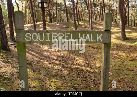 'Squirrel piedi' segno a lo scoiattolo rosso riserva a Formby, Merseyside England, Regno Unito Foto Stock