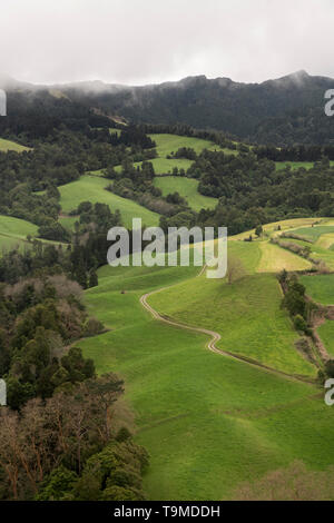 Antenna paesaggio di colline vulcaniche in Sao Miguel coperta con foreste native e i pascoli verdi, sul lato nord dell'isola, Portogallo Foto Stock