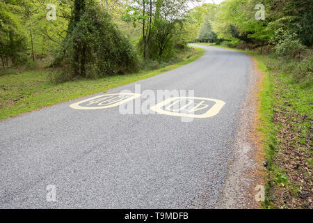 Vecchio 40 mph limite di velocità segni dipinti sulla strada nella nuova foresta, Hampshire, Inghilterra, Regno Unito Foto Stock