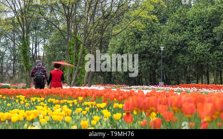 WUHAN-HUBEI/Cina, MAR 29-2019: Wuhan Botanic Garden. Generici di vecchia coppia a piedi al campo di tulipani in corrispondenza della parte di Wuhan Botanic Garden. Si tratta di una Foto Stock