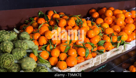 Immagine della frutta fresca di stagione sul contatore nel mercato alimentare, nessun popolo Foto Stock