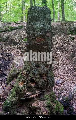 Facce scolpita in un ceppo di albero, Steckeschlääfer-Klamm, Binger foresta, Bingen sul Reno, Renania-Palatinato, Germania Foto Stock