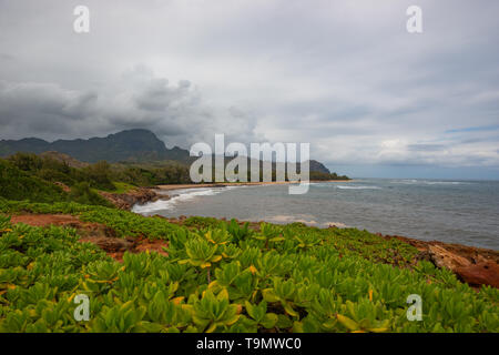La vista dal patrimonio Mahaulepu sentiero costiero verso Mahaulepu spiaggia, sulla costa sud dell'isola hawaiana di Kauai. Foto Stock