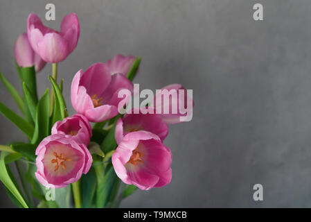 Mazzo di fiori di un bel colore rosa tulipani in vaso di fronte a un muro grigio, il fuoco selettivo Foto Stock