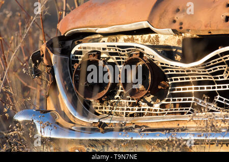 Vecchio arrugginito vintage fuori auto del faro anteriore / zona grill - sinistra nel bel mezzo del nulla dove foresta / campo in rural Wisconsin - luce dorata al tramonto Foto Stock