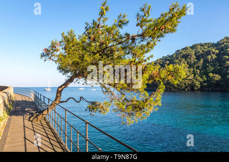 Bella vista naturale della Baia di Paraggi a Santa Margherita Ligure, Mediterraneo seacoat vicino a luxury resort sul mare Portofino, Italia Foto Stock