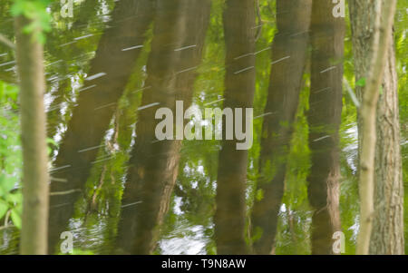 La riflessione di alberi in una soleggiata giornata d'estate sull'acqua del Minnehaha Creek a Minneapolis, Minnesota Foto Stock