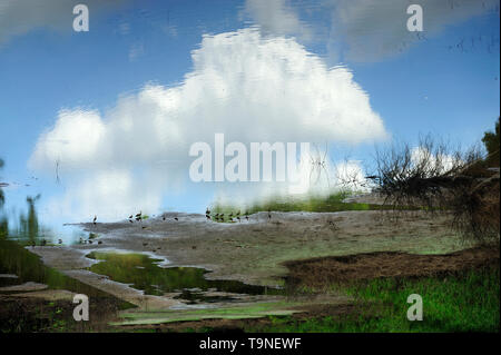 El cielo puede esperar / Parque Nacional Camino de Cruces, Panamá. Foto Stock