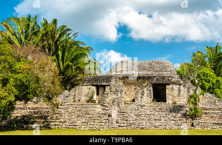 Rovine Maya a Kohunlich in Messico Foto Stock