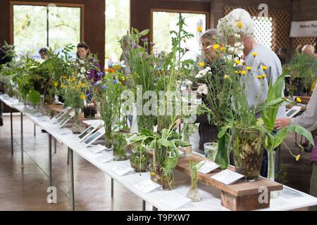 Le persone che visualizzano esemplari di fiori selvaggi sul display presso il Festival di fiori selvaggi a Mount Pisgah Arboretum di Eugene, Oregon, Stati Uniti d'America. Foto Stock