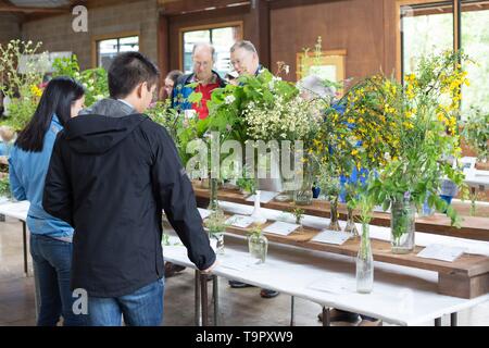 Le persone che visualizzano esemplari di fiori selvaggi sul display presso il Festival di fiori selvaggi a Mount Pisgah Arboretum di Eugene, Oregon, Stati Uniti d'America. Foto Stock