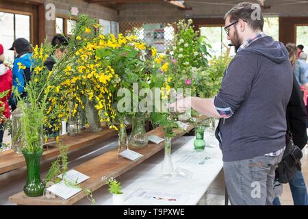 Le persone che visualizzano esemplari di fiori selvaggi sul display presso il Festival di fiori selvaggi a Mount Pisgah Arboretum di Eugene, Oregon, Stati Uniti d'America. Foto Stock