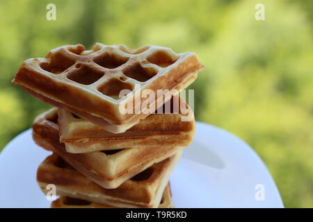 Waffle belga in una piastra bianca sulla natura verde dello sfondo. Sana colazione vicino, risma di cialde appena fatte Foto Stock