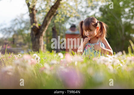 Bambina in giardino con margherite. Quattro-anno-vecchia ragazza su una soleggiata giornata estiva su un prato con margherite. Foto Stock