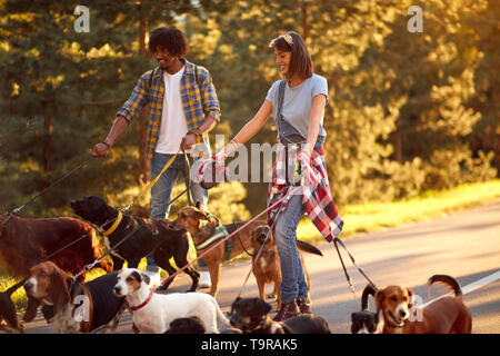 L uomo e la donna cane camminatori con gruppo godendo del cane in posizione di parcheggio Foto Stock