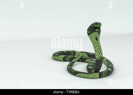 Cobra serpente isolato su sfondo bianco 3d illustrazione Foto Stock