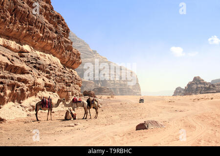 Auto safari nel Wadi Rum desert, Giordania. I cammelli e i turisti in giro in macchina su off-road sulla sabbia tra le splendide rocce Foto Stock