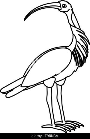 Linea del vettore animale cartoon clip art ibis bird Illustrazione Vettoriale