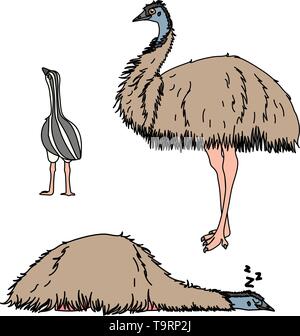 Scandi vettore animale cartoon clip art di struzzo uccello emu Illustrazione Vettoriale