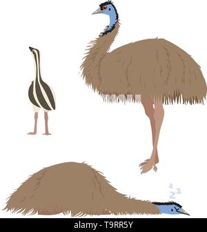 Piatto di vettore animale cartoon clip art di struzzo uccello emu Illustrazione Vettoriale