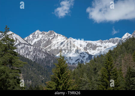 Alpi marittime, il Parco Nazionale del Mercantour, Francia Foto Stock