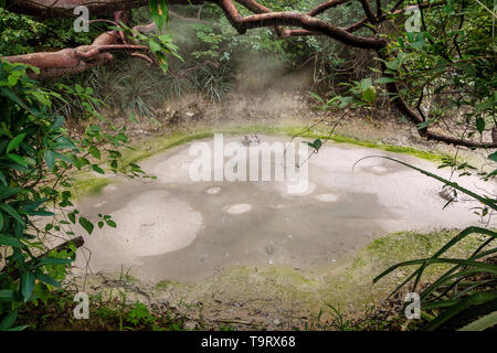 Vista di fango bollente in pentola Rincon de la Vieja National Park in Costa Rica Foto Stock