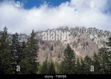 Alpi marittime, il Parco Nazionale del Mercantour, Francia Foto Stock