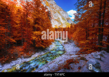 Bella colorato paesaggio autunnale con un flusso e le foreste in colori dai toni. Il fiume in autunno la foresta e il sole che splende attraverso il fogliame. Autu Foto Stock