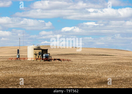 Testa di pozzo olio serbatoio di stoccaggio Foto Stock