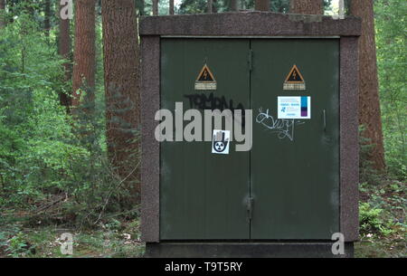 Albero di elettricità nel bosco Foto Stock