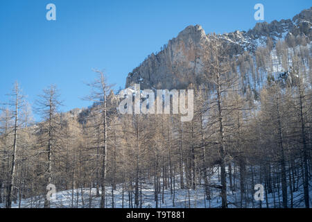 Alpi marittime, il Parco Nazionale del Mercantour vicino a Casterino, Francia Foto Stock