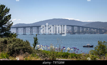 Tasman ponte sopra il fiume Derwent, Hobart, Tasmania Foto Stock