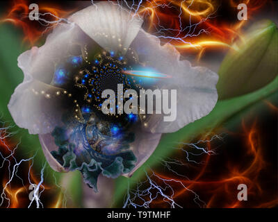 Spazio infinito all'interno di splendidi fiori Foto Stock