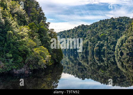 Riflessioni sul fiume Gordon, Tasmania Foto Stock