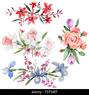 Bouquet floreale di fiori di botanica. Acquerello illustrazione dello sfondo impostato. Isolato mazzi illustrazione elemento. Foto Stock