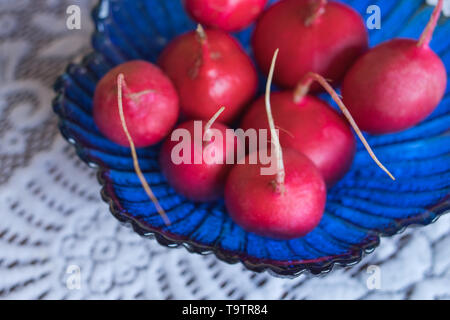 Fresche e mature ravanelli in un vetro blu insalatiera closeup. Foto Stock