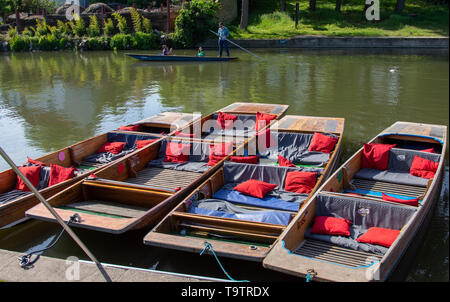 Sterline redatto sulle rive del fiume Cam, Cambridge Foto Stock