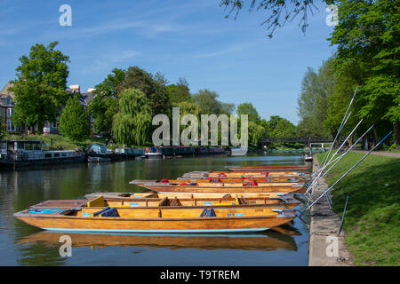 Sterline redatto sulle rive del fiume Cam, Cambridge Foto Stock