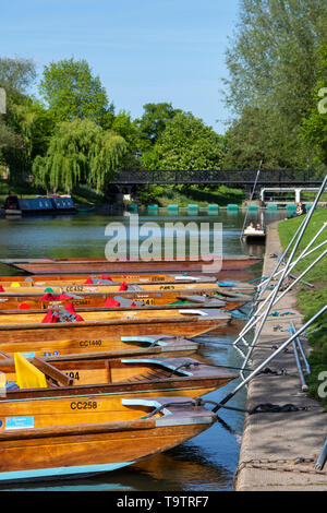 Sterline redatto sulle rive del fiume Cam, Cambridge Foto Stock