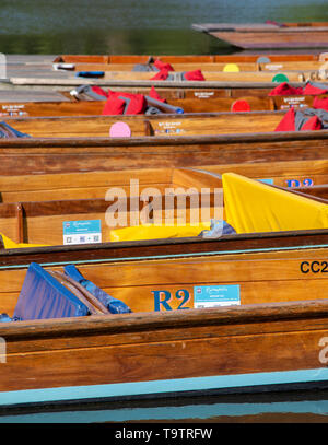 Sterline redatto sulle rive del fiume Cam, Cambridge Foto Stock